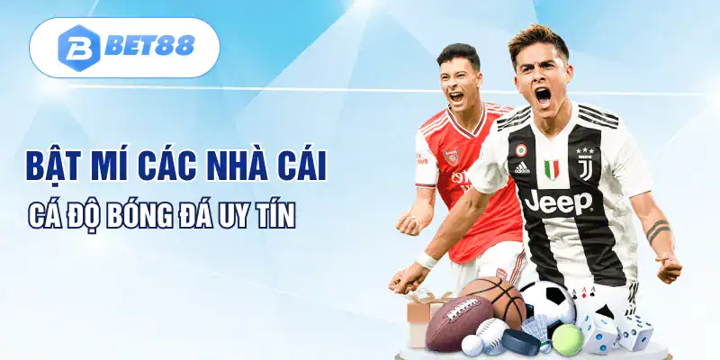 Bật mí các nhà cái cá độ bóng đá uy tín