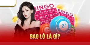 Bao Lô Là Gì? Chia Sẻ Kinh Nghiệm Chơi Bao Lô Chuẩn 99%