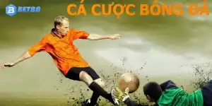 Bắt kèo bóng đá | Thế giới giải trí đặc sắc có lợi nhuận lớn