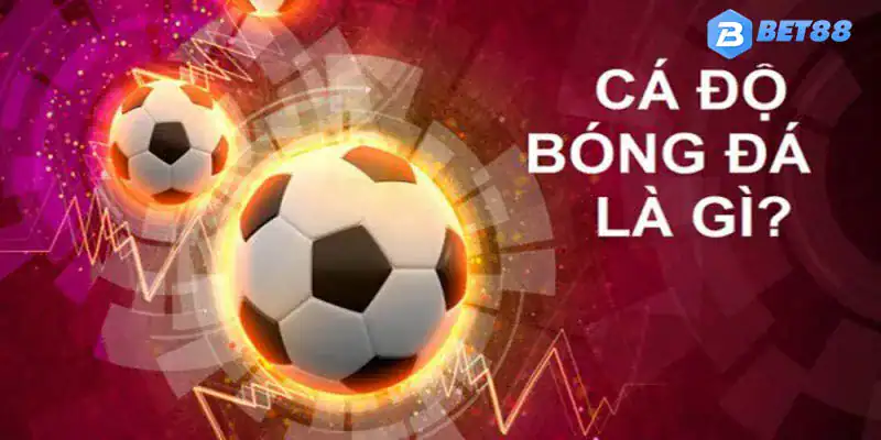 Khám phá thông tin quan trọng về chủ đề bắt kèo bóng đá hiệu quả, chắc thắng